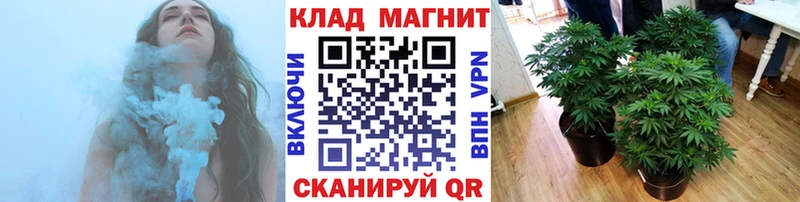 Как найти закладки Далматово Галлюциногенные грибы  МАРИХУАНА  Амфетамин  Меф  Кокаин  А ПВП  ГАШ 
