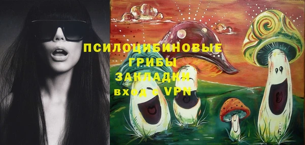 стафф Гвардейск
