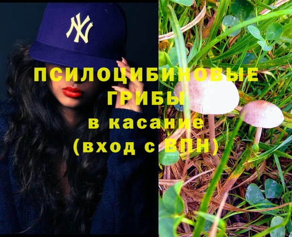 хмурый Балабаново