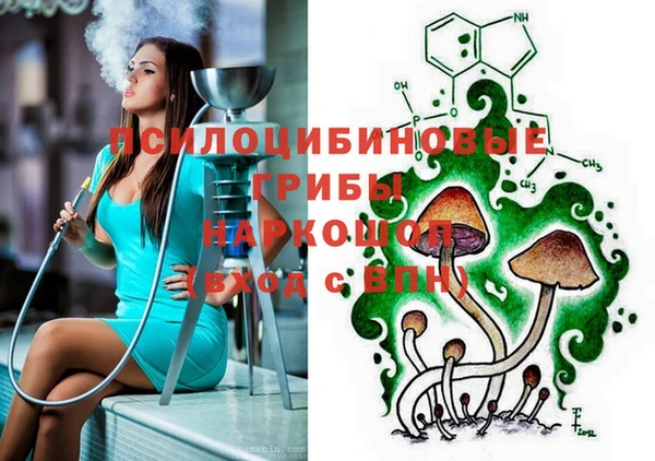 амф Арсеньев