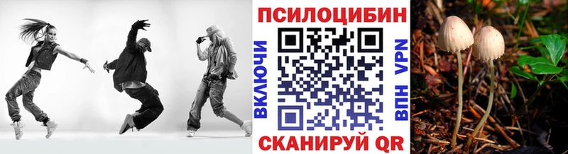 Галлюциногенные грибы мицелий  Далматово 